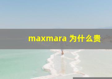 maxmara 为什么贵